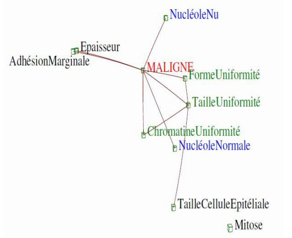 Iconographie des corrélations Cancers