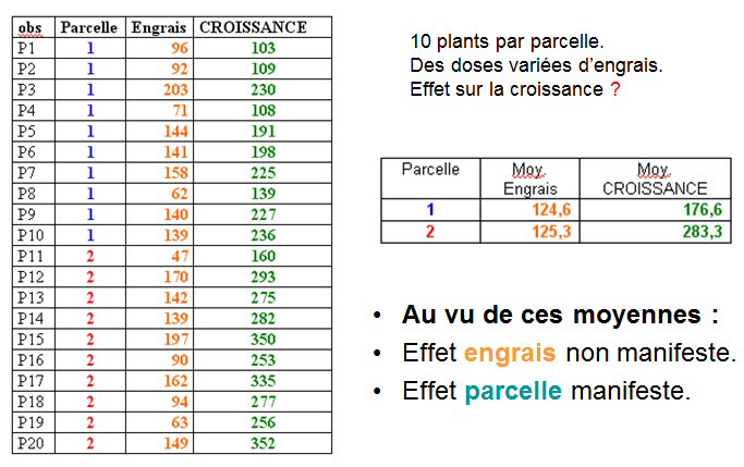 Parcelles et engrais Croissance des plantes